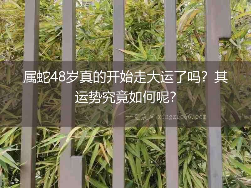 屬蛇48歲真的開始走大運(yùn)了嗎？其運(yùn)勢究竟如何呢？