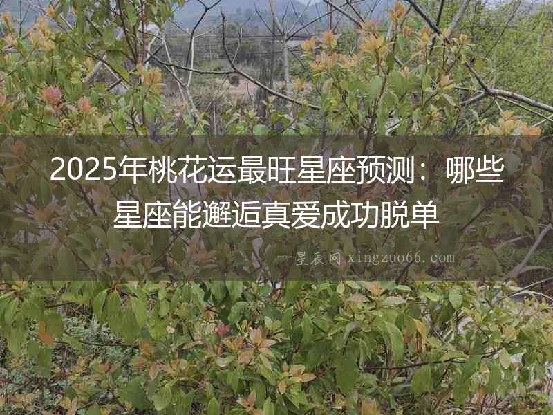 2025年桃花運最旺星座預測：哪些星座能邂逅真愛成功脫單