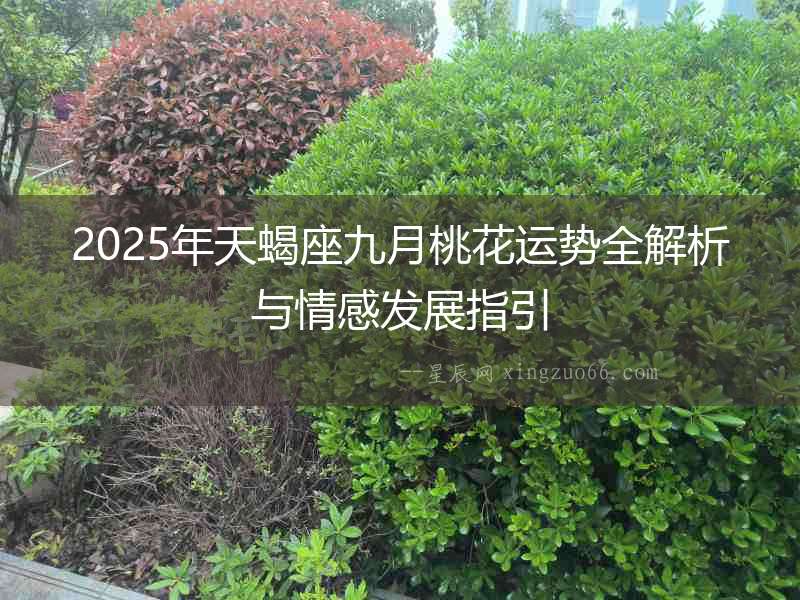 2025年天蝎座九月桃花運勢全解析與情感發展指引