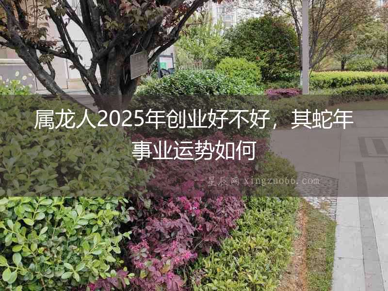 屬龍人2025年創業好不好，其蛇年事業運勢如何