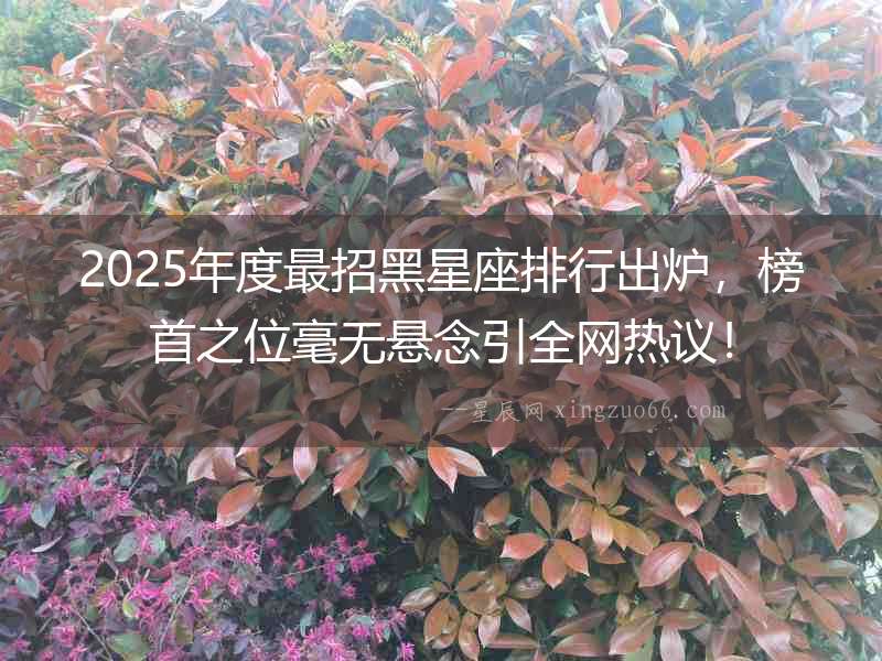 2025年度最招黑星座排行出爐，榜首之位毫無懸念引全網(wǎng)熱議！
