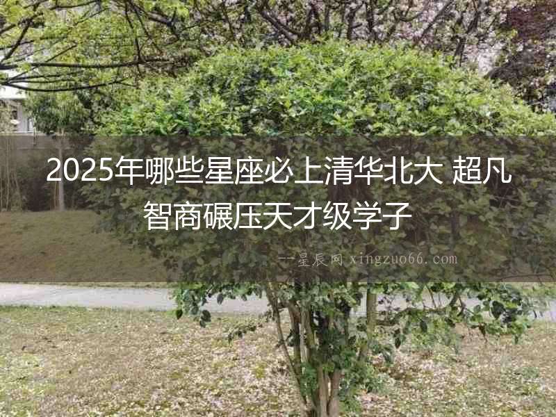 2025年哪些星座必上清華北大 超凡智商碾壓天才級學子