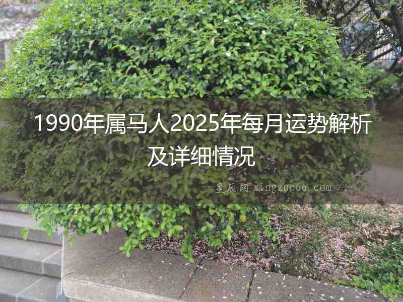 1990年屬馬人2025年每月運勢解析及詳細情況