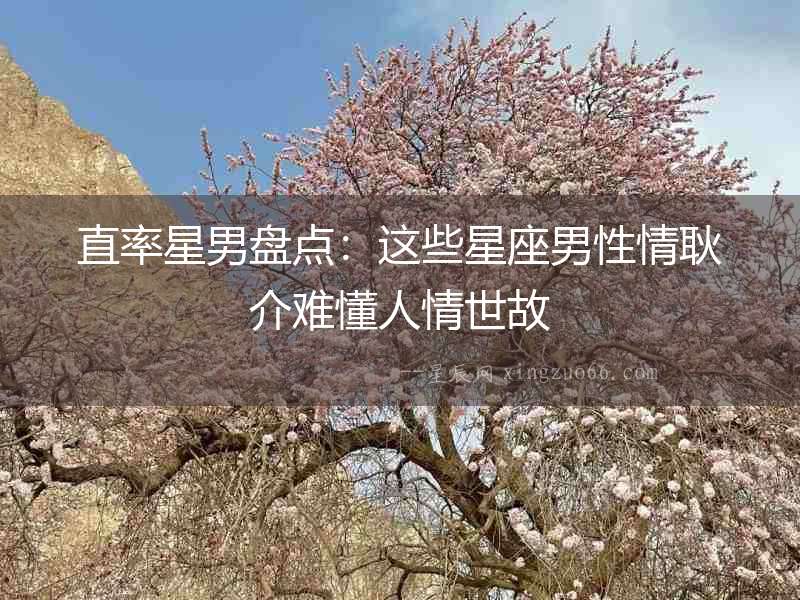 直率星男盤點：這些星座男性情耿介難懂人情世故