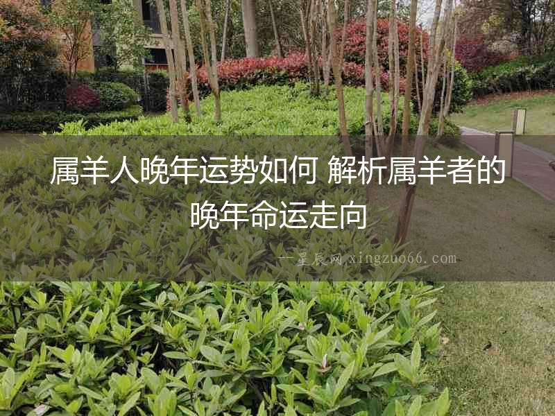 屬羊人晚年運勢如何 解析屬羊者的晚年命運走向