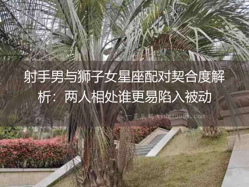 射手男與獅子女星座配對契合度解析：兩人相處誰更易陷入被動