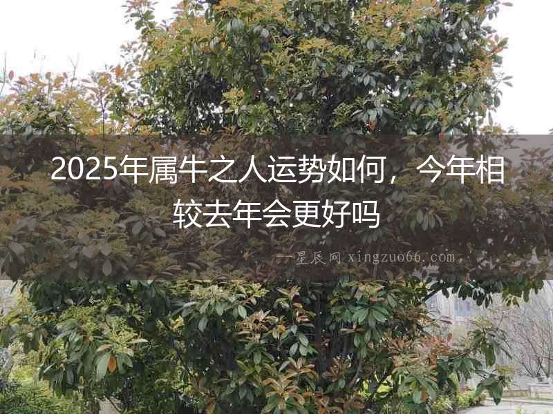 2025年屬牛之人運(yùn)勢(shì)如何，今年相較去年會(huì)更好嗎