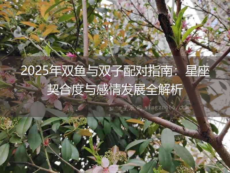 2025年雙魚與雙子配對指南：星座契合度與感情發(fā)展全解析