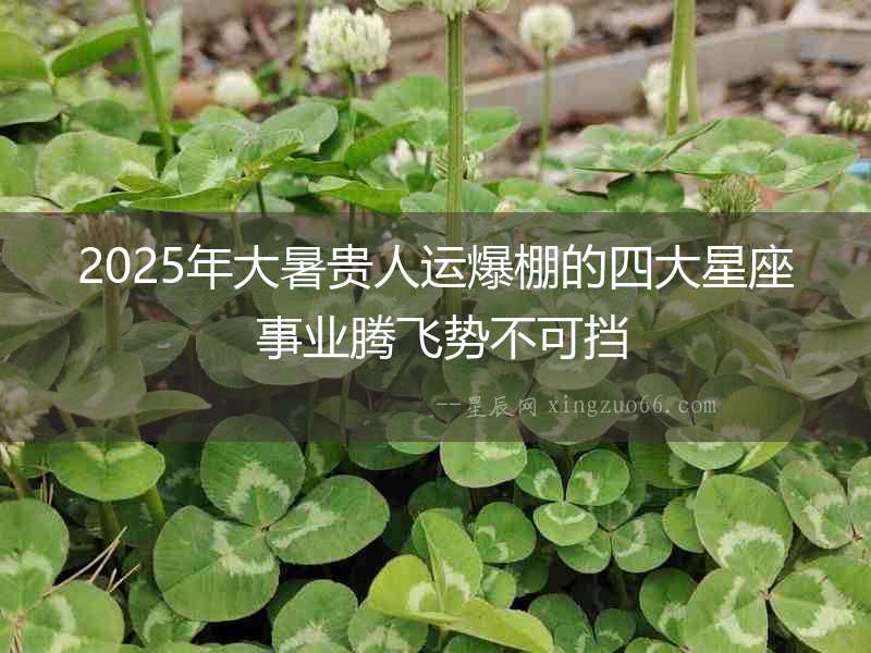 2025年大暑貴人運爆棚的四大星座 事業(yè)騰飛勢不可擋