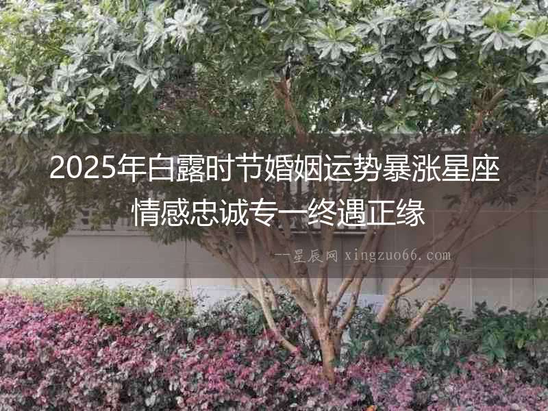 2025年白露時節(jié)婚姻運勢暴漲星座 情感忠誠專一終遇正緣