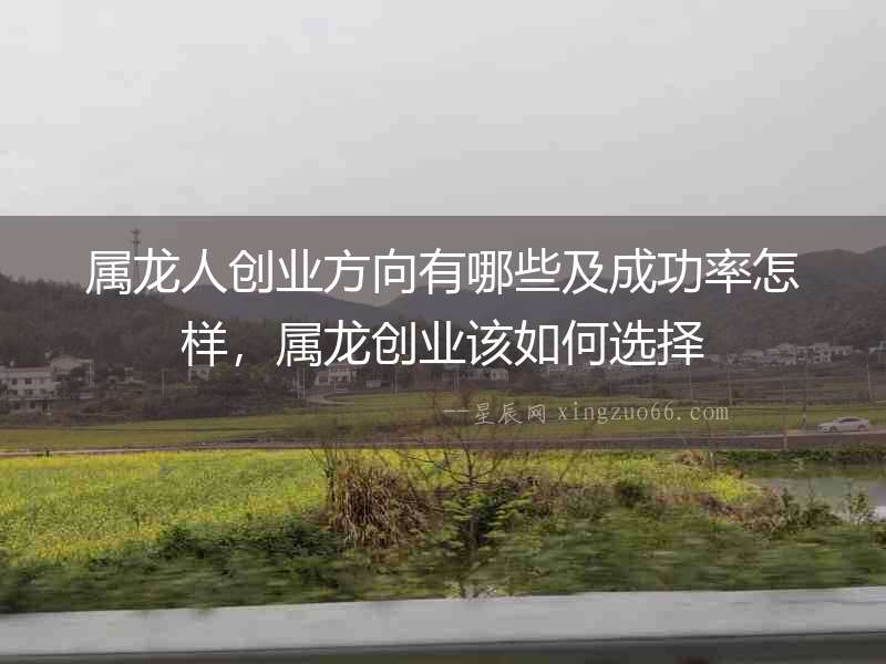 屬龍人創(chuàng)業(yè)方向有哪些及成功率怎樣，屬龍創(chuàng)業(yè)該如何選擇