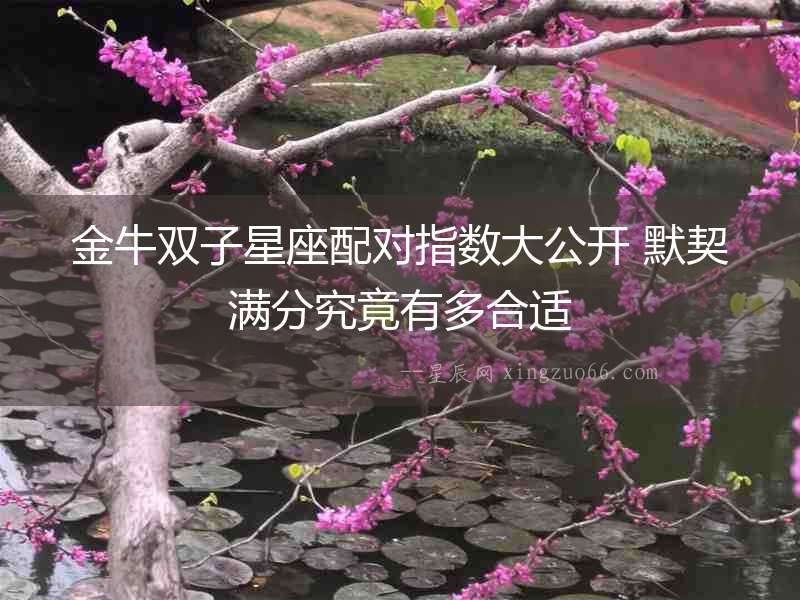 金牛雙子星座配對(duì)指數(shù)大公開(kāi) 默契滿(mǎn)分究竟有多合適