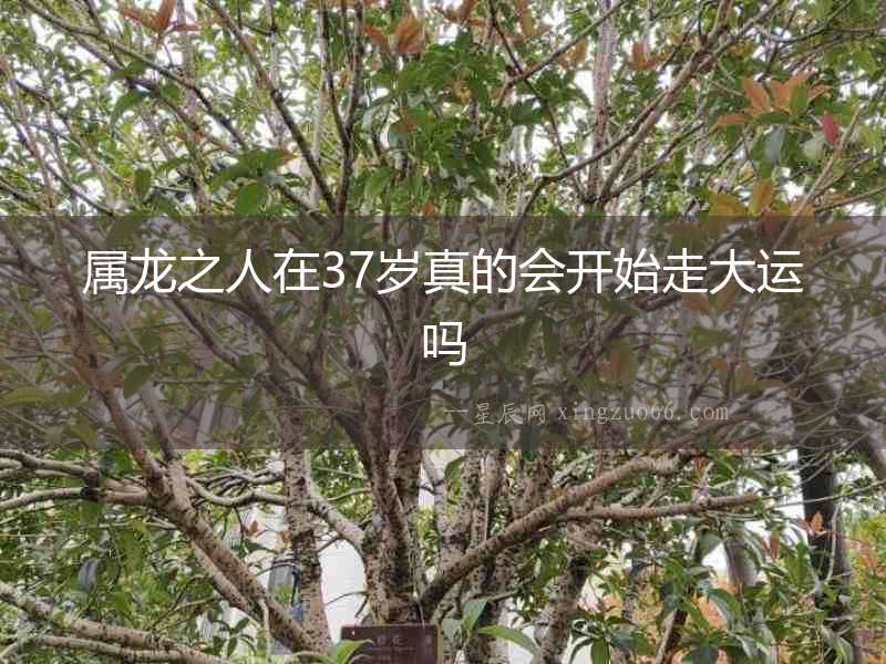 屬龍之人在37歲真的會(huì)開(kāi)始走大運(yùn)嗎