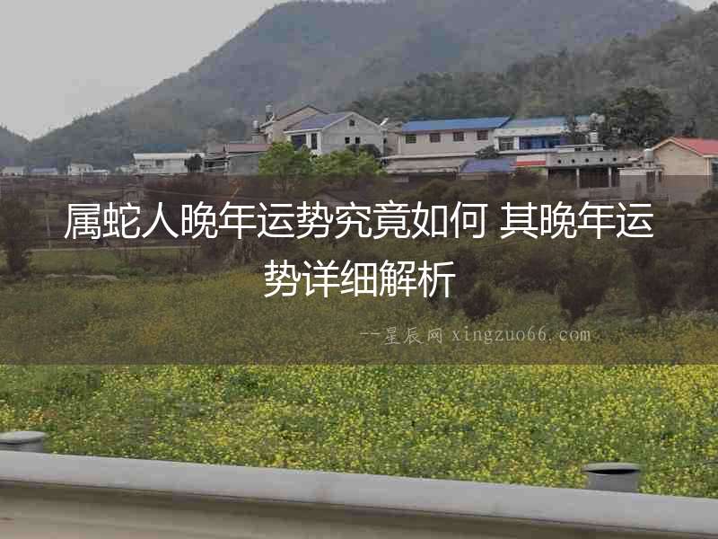 屬蛇人晚年運(yùn)勢(shì)究竟如何 其晚年運(yùn)勢(shì)詳細(xì)解析