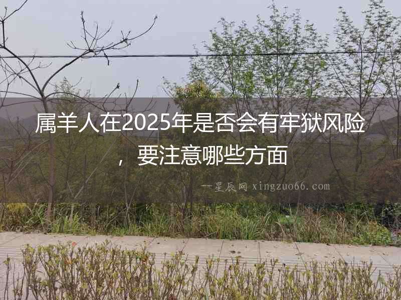 屬羊人在2025年是否會有牢獄風險，要注意哪些方面