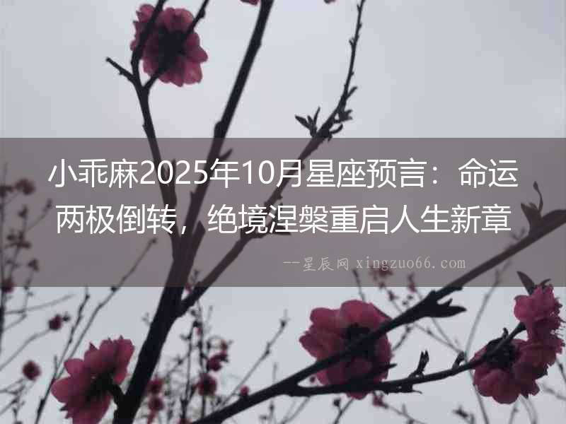 小乖麻2025年10月星座預言：命運兩極倒轉，絕境涅槃重啟人生新章