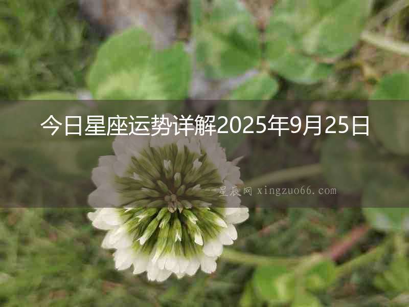 今日星座運(yùn)勢(shì)詳解2025年9月25日