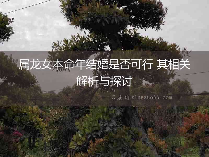 屬龍女本命年結婚是否可行 其相關解析與探討