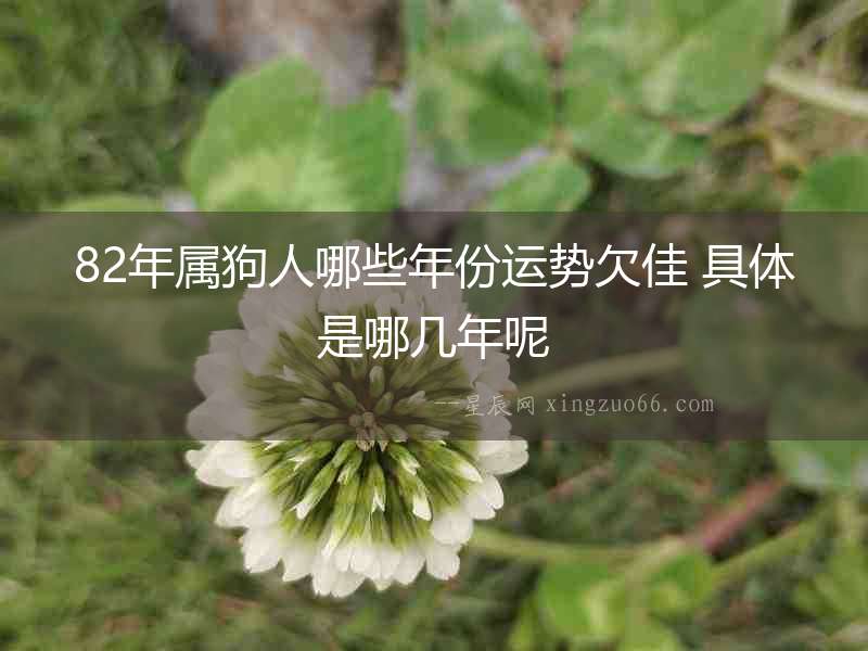 82年屬狗人哪些年份運勢欠佳 具體是哪幾年呢