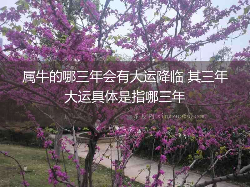 屬牛的哪三年會(huì)有大運(yùn)降臨 其三年大運(yùn)具體是指哪三年
