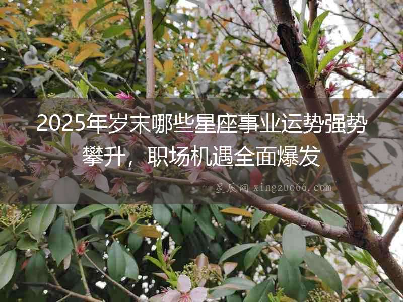 2025年歲末哪些星座事業(yè)運(yùn)勢(shì)強(qiáng)勢(shì)攀升，職場(chǎng)機(jī)遇全面爆發(fā)