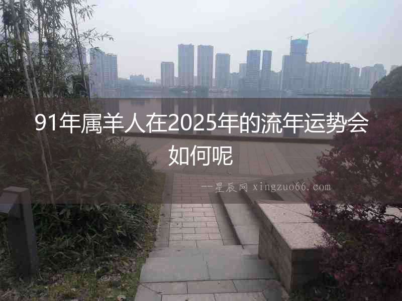91年屬羊人在2025年的流年運(yùn)勢(shì)會(huì)如何呢