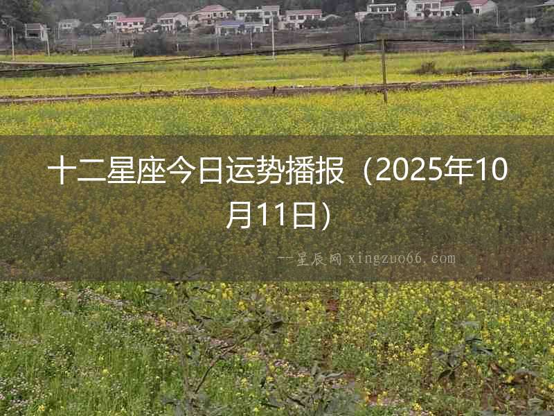 十二星座今日運(yùn)勢(shì)播報(bào)（2025年10月11日）