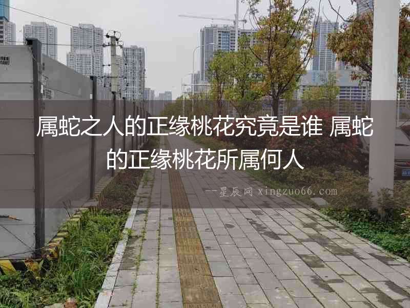 屬蛇之人的正緣桃花究竟是誰 屬蛇的正緣桃花所屬何人