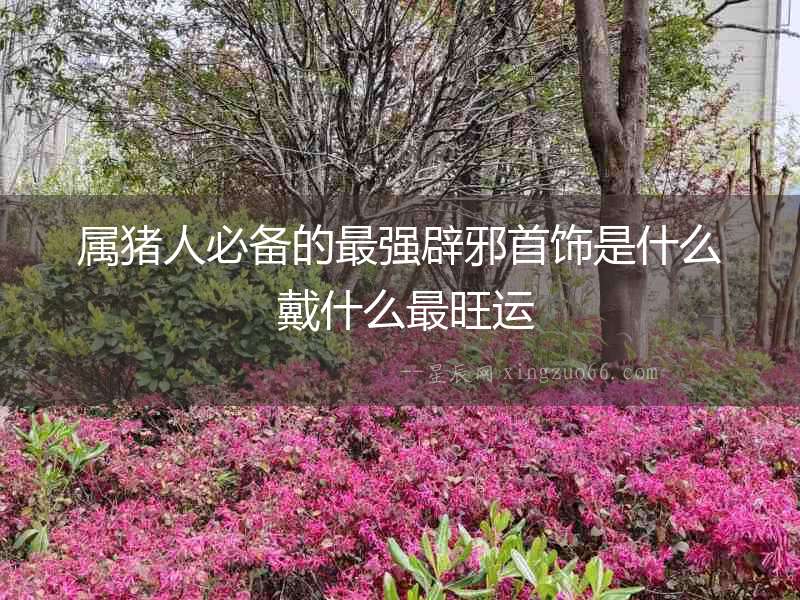 屬豬人必備的最強辟邪首飾是什么 戴什么最旺運