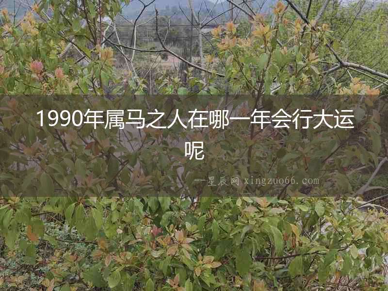 1990年屬馬之人在哪一年會行大運呢