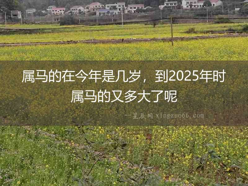 屬馬的在今年是幾歲，到2025年時(shí)屬馬的又多大了呢